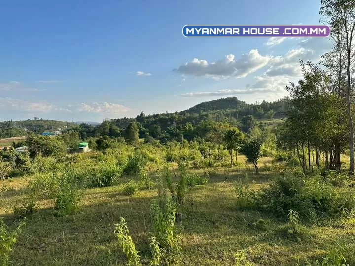 ⛰️ လွယ်ကောင်း ဧကကွက် ရောင်းမည့် တောင်ကြီးမြို့နဲ့ မိနစ် (၂၀)ကျောက်တလုံးလမ်းမကြီး အကွက်ကျယ် တကွက်ငုတ်. //⛰️ တောင် နဲ မြှောက် ပေ -( ၈၀၀ )  ⛰️ ရှေ့ နဲ နောက် ပေ -( ၁၄၀ 💸 ဈေးနူန်း သိန်း -( ၃၇၀၀ )