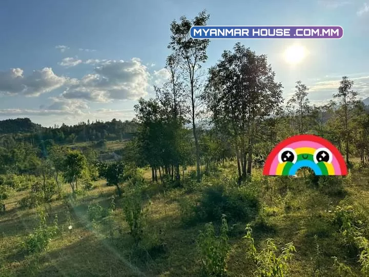 ⛰️ လွယ်ကောင်း ဧကကွက် ရောင်းမည့် တောင်ကြီးမြို့နဲ့ မိနစ် (၂၀)ကျောက်တလုံးလမ်းမကြီး အကွက်ကျယ် တကွက်ငုတ်. //⛰️ တောင် နဲ မြှောက် ပေ -( ၈၀၀ )  ⛰️ ရှေ့ နဲ နောက် ပေ -( ၁၄၀ 💸 ဈေးနူန်း သိန်း -( ၃၇၀၀ )