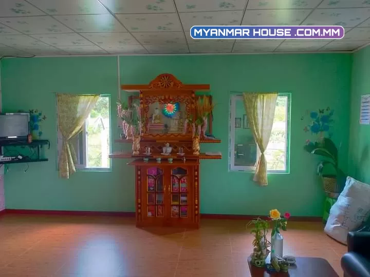 Adminတင်ခွင့်ပြုပါရှင့် အိမ်နဲ့ ခြံလေး ရောင်းပါမည် တောင်ကြီးမြို့နယ် ညောင်ရွှေမြို့ စိုက်ပျိုးရပ်ကွပ်၄  ၊*အိမ်နံပါတ် ကျပိးသား *အရူပ်အရှင်းကင်း ပိုင်ရှင်ကိုယ်တိုင်တိုင်ရောင်းပါသည် *330 $$$$ အလျော့အတင်း ရှိပါသည် *pH.09405601198