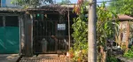 12' 60' ကို Foundation အခိုင်အမာ အသင့်တက်နေရုံ အရှုပ်အရှင်းကင်း 1 ထောင် အောက် 800 မပြည့်တဲ့ထဲကရမယ်ဆို စိတ်ဝင်စားကြလားဗျ ?    