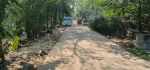 12' 60' ကို Foundation အခိုင်အမာ အသင့်တက်နေရုံ အရှုပ်အရှင်းကင်း 1 ထောင် အောက် 800 မပြည့်တဲ့ထဲကရမယ်ဆို စိတ်ဝင်စားကြလားဗျ ?    