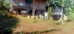 ကလောကအိမ်လေးနဲဝိုင်းရောင်းမထွက်သေးလို အငွေပိုင်အိမ်လေးလေးပါ အရှူပ်ရှင်းလဲကင်းအာမခံ ရေရ မီးရ ကားလမ်းပေါက်  ဈေး280ခေါ်ထားပါတယ်ဗျ အရှော့တင်းလဲရှိပါတယ်ဗျ 