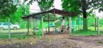 ပိုင်ရှင်တိုက်ရိုက်ပါ ရန်ကုန်တိုင်း မှော်ဘီမြို့နယ်၊ ပေ ၄၀×၆၀၊  ၆၀×၇၀ G မြေလေးများ ရောင်းရန်ရှိပါသည်။