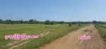 ဥယျာဥ်ခြံမြေ၊ မြေဧက အကျယ်က ၄၀.၀၀ ကျော်၊ ရန်ကုန်တိုင်းဒေသကြီး၊ တိုက်ကြီးမြို့နယ်