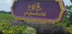 ရန်ကုန်တိုင်းဒေသကြီး ✅ တိုက်ကြီးမြို့နယ်ပိုင် ✅ လယ်မြေ ပုံစံ ၇