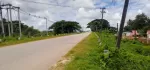 ရန်ကုန်တိုင်းဒေသကြီး🌳 ထန်းတပင်မြို့နယ်၊ ထန်းတပင် မြို့ချောင်း လမ်းမမေးတင်🌳 ဥယျာဥ်ခြံမြေ