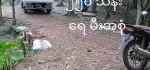 ရန်ကုန် အနောက်ပိုင်းတဣသိုလ် ထန်းတပင်မြို့နယ် ခြံကွက်များရောင်းရန်ရှိပါသည်