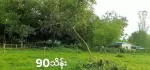 အရစ်ကျရတဲ့ မြေကွက်လေးနဲ့မိတ်ဆက်ပေးပါမယ် မှော်ဘီမြို့နယ် ကုလားကုန်းစံပြကျေးရွာ