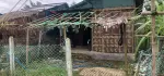တိုက်ကြီးမြို့. ခြံအကျယ် ၂၀' ၆၀' အိမ်အကျယ် ၁၅ ပေ ၄၀. အမြန်ရောင်းမည်