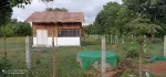 ခြံရောင်းပါမည် တိုက်ကြီးမြို့နယ် မလေးရှာဝိုင်အုပ်စု မေတ္တာအေးကျေးရွာ ပိုင်ရှင်ကိုတိုင်ရောင်းမည်
