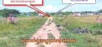 ရပ်ကွက်သန့်သန့် နဲ့ နေရာကောင်းပြီး ကားမှတ်တိုင်နီးတဲ့မြေကွက်ကိုပါမစ် မူရင်းခြမ်းလေးရှာနေတဲ့ လူကြီးမင်းများအတွက်