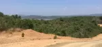 ဥယျာဉ်မြေ