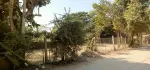 မြေကွက်အငှား