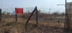 BAGO INDUSTRIAL AGRICULTURE LAND
