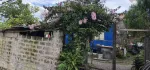 အိမ်ဝိုင်းရောင်းမည်
