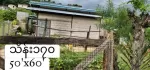 ဟိုပုံးၿမိဳ့ ၿမိဳ့ဦးရပ္ကြက္  ေပ 50'x60'  အိမ္ ပါ ပတ္ကားအိမ္ သာ ေရးမီးအစုံ  💸$170  📞 09428226520