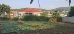 တောင်ကြီးမြို့ ၊ ဘုရားဖြူ  နယ်မြေ (၄)ပါမိုးနဲကျောင်းအနီး မြေအကျယ် ရှေနောက်92×92 တောင်မြောက်60×75 ခေါ်ဈေး သိန်း 1300