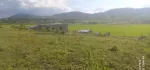 အောင်ပန်းမြို့ ဇောတိ နယ်မြေ 4 မြေကွက်ရောင်းရန်ရှိပါတယ်  40x70/ဈေး 150 သိန်း(အလျှော့အတင်းရှိ)