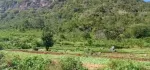 ကလောမြို့ မြင်းမထီတွင် ၁.၅၀ ဧက ရောင်းရန် ပိုင်ဆိုင်မူ့ =ပုံစံ ၇ ပုံစံ၁၀၅ အမည်ပေါက် လမ်းမေတင်အကွက် ခြံရှေ့ လမ်းမီးတိုင်ရှိ//ဈေး = သိန်း ၆၀၀ညှိနိူင်း 