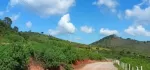 ကလောမြို့ မြင်းမထီတွင် ၁.၅၀ ဧက ရောင်းရန် ပိုင်ဆိုင်မူ့ =ပုံစံ ၇ ပုံစံ၁၀၅ အမည်ပေါက် လမ်းမေတင်အကွက် ခြံရှေ့ လမ်းမီးတိုင်ရှိ//ဈေး = သိန်း ၆၀၀ညှိနိူင်း 
