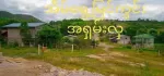 တောင်ကြီး အေးသာယာ မြို့ သာယာကုန်းရွာကအိမ်နင့်ခြံ ရောင်းပေးမယ်ရှင့်  ပေ 40×60ရှိပါတယ်ရှင့် ပိူင်ဆိုင်မူ့ ရွာမြေ  လမ်းဒေါင့်ကွက်ဖြစ်လို့ မိတ်ဆွေတို့စိတ်တိုင်းကျစေရမယ်ရှင့် /ဈေးသိန်း၂၅၀ပါ  ပါးပါးလျော့မယ်ရှင့်