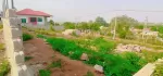 မရောင်း မရမခြင်း အရောင်းတင်ခွင့်ပြုပါ ရက၁၀/နမ၉ တရုတ်ကျောင်းအနီး ပေ၆၀.၇၀ဂရံရှိ ပိုင်ရှင်တိုက် သိန်း၇၇၀ ☎️09265103244