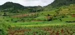 က လောၿမိဳ့ျမင္းမထိရြာတြင္ (၁ဧက )ရွိေသာေျမကြက္ ေရာင္းရန္ရွိပါသည္ ကားလမ္းေပါက္ပီး view လဲရှယ္လှတဲ့ေနရာေလးပါ  ေစ်းႏူန္း👉👉👉၄၀၀ညႇိနိုင္း(ပိုင္ရွင္တိုက္ရိုက္)  ☎☎☎09253351290