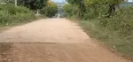 သိန်းတစ်ရာကြော်လေးနဲအရှုပ်အရှင်းမရှိမြေကွက်အိမ်အပါရေမီးအစုံ လေးတစ်လုံး ပေ60×40ပေကွင်းကြီး၁၀၅ပါ // ဈေး ၁၆၅သိန်