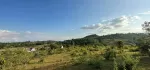 ⛰️ လွယ်ကောင်း ဧကကွက် ရောင်းမည့် တောင်ကြီးမြို့နဲ့ မိနစ် (၂၀)ကျောက်တလုံးလမ်းမကြီး အကွက်ကျယ် တကွက်ငုတ်. //⛰️ တောင် နဲ မြှောက် ပေ -( ၈၀၀ )  ⛰️ ရှေ့ နဲ နောက် ပေ -( ၁၄၀ 💸 ဈေးနူန်း သိန်း -( ၃၇၀၀ )