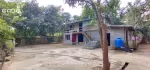ကလောမြို့နယ် နန့်ပန်တက်ကျေးရွာ မိန်းလမ်းတကွက်ငုတ် ရွာမြေ ရှေ့နောက်ပေ 68× 46 ဘေးနှစ်ဘက် ပေ 100 ရေမီးစုံ သိန်း (350) ပါ.ပိုင်ရှင်တိုက်ရိုက်ဈေးပါနော်.