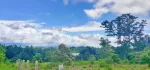 🌲🌲🌲နောင်ကားဈေးနဲ့နီးတဲ့ နောင်ကားဆည်အပေါ်ဘက်နားမှာ  🥑🥑🥑ထောပတ်ခြံဈေးတန်လေး ရောင်းဖို့ရှိပါတယ် 🚗🚗🚗တောင်ကြီးနဲ့ဆို 25မိနစ်သွားရပါမယ်၊ပေ အနံ80+60/// အလျား245+245  ဈေးနှုန်း💰💰💰သိန်း70ပါ