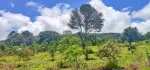 🌲🌲🌲နောင်ကားဈေးနဲ့နီးတဲ့ နောင်ကားဆည်အပေါ်ဘက်နားမှာ  🥑🥑🥑ထောပတ်ခြံဈေးတန်လေး ရောင်းဖို့ရှိပါတယ် 🚗🚗🚗တောင်ကြီးနဲ့ဆို 25မိနစ်သွားရပါမယ်၊ပေ အနံ80+60/// အလျား245+245  ဈေးနှုန်း💰💰💰သိန်း70ပါ