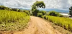 မြေကွက်လှလှ လေးရောင်းရန်ရှိ ဟိုပုံးမြို့ မြို့ဦးရပ်ကွက် အထက(1)ကျောင်းမြောက်ဘက် မြို့မြေ အရပ်စာချုပ် ပုံစံ 105 လုပ်လို့ရ ရေရမီးရ  ပေ 60*60 အိမ်ချက်ချင်းဆောက်နေရုံပဲနော် 120 လျော့တင်းရှိ