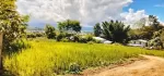 မြေကွက်လှလှ လေးရောင်းရန်ရှိ ဟိုပုံးမြို့ မြို့ဦးရပ်ကွက် အထက(1)ကျောင်းမြောက်ဘက် မြို့မြေ အရပ်စာချုပ် ပုံစံ 105 လုပ်လို့ရ ရေရမီးရ  ပေ 60*60 အိမ်ချက်ချင်းဆောက်နေရုံပဲနော် 120 လျော့တင်းရှိ
