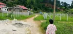 ကလော ရြာသစ်‌ေနာက္ ၃ ရပ္ကြက္ hill top hotel ေျခရင္း ၅၀×၅၀ ၂  ကွက်တြဲေရာင္းမည္ သိန္း ၄၀၀ (၀၉၄၂၀၀၉၃၉၉၄)