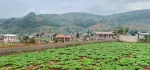 ရောင်းရန် - လုံးချင်းအိမ် - ကလောမြို့ (မြင်းမထိ) အနီးရွာမြေကို ၉၇၅ သိန်း ဖြင့်ရောင်းမည်။