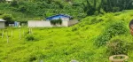 ရပ္ကြက္1နယ္ေျမ8ႏွင္းဆီလမ္းသြယ္6ေပ50*60 4ကွက်တွဲ‌ေရာင္းရန္ရွိ့သိန္း700 အလျှော့အတင္း1ကွက်ခ်င္းလိုခ်င္လည္းခွဲ‌ေရာင္းေပးပါတယ္