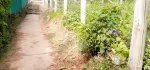 တည်နေရာ _ ကလောမြို့ ၊ ရပ်ကွက်(၃) ။ အသေးစိတ် _ Christ The King Church အနီး ၊ သဇင်လမ်း အပေါ်မှာ တည်ရှိပြီး၊Kalaw CGSC အနီး၊Map Details!!ဈေးနှုန်း _ ၅၅၀ သိန်း 