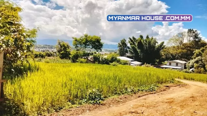 မြေကွက်လှလှ လေးရောင်းရန်ရှိ ဟိုပုံးမြို့ မြို့ဦးရပ်ကွက် အထက(1)ကျောင်းမြောက်ဘက် မြို့မြေ အရပ်စာချုပ် ပုံစံ 105 လုပ်လို့ရ ရေရမီးရ  ပေ 60*60 အိမ်ချက်ချင်းဆောက်နေရုံပဲနော် 120 လျော့တင်းရှိ
