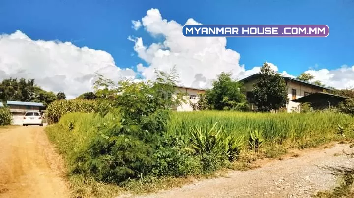 မြေကွက်လှလှ လေးရောင်းရန်ရှိ ဟိုပုံးမြို့ မြို့ဦးရပ်ကွက် အထက(1)ကျောင်းမြောက်ဘက် မြို့မြေ အရပ်စာချုပ် ပုံစံ 105 လုပ်လို့ရ ရေရမီးရ  ပေ 60*60 အိမ်ချက်ချင်းဆောက်နေရုံပဲနော် 120 လျော့တင်းရှိ