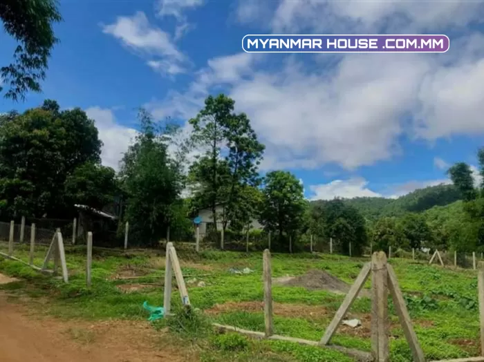ျမင္းက(ကလော)မွာႏွစ္ကြက္မရွိေတာ့တဲ့ အကွက္က်ယ္ ၊View ရွယ္ေလးတင္ေပးခ်င္ပါတယ္။