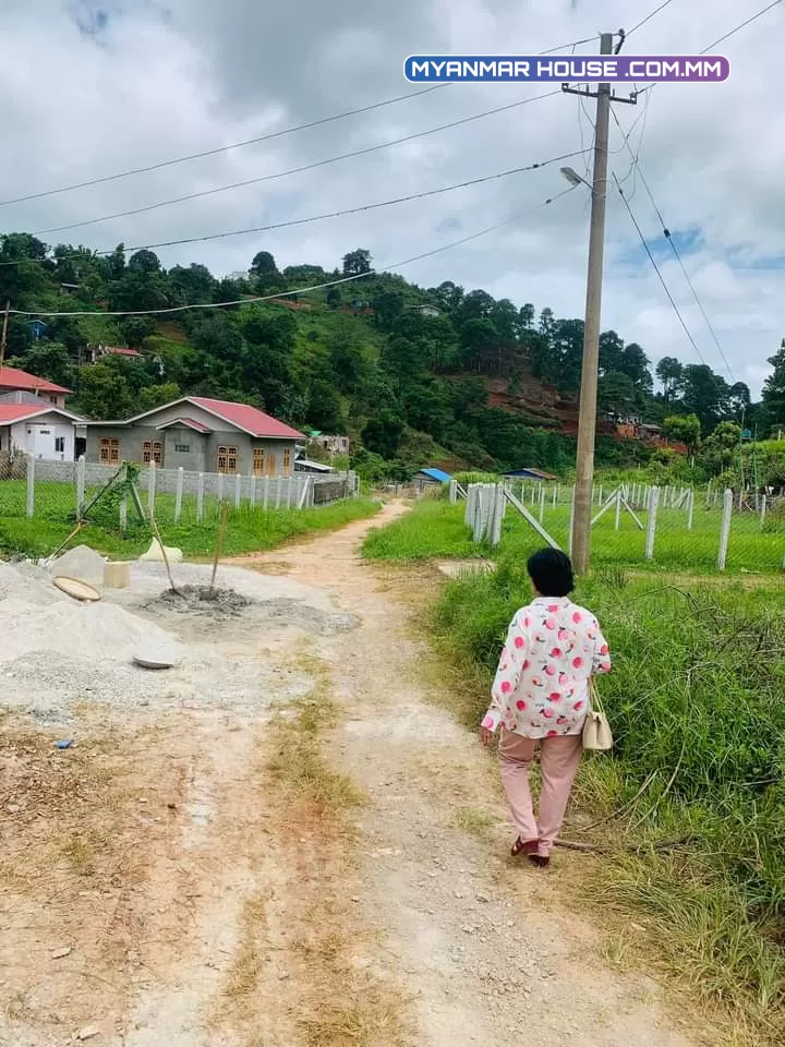 ကလော ရြာသစ်‌ေနာက္ ၃ ရပ္ကြက္ hill top hotel ေျခရင္း ၅၀×၅၀ ၂  ကွက်တြဲေရာင္းမည္ သိန္း ၄၀၀ (၀၉၄၂၀၀၉၃၉၉၄)