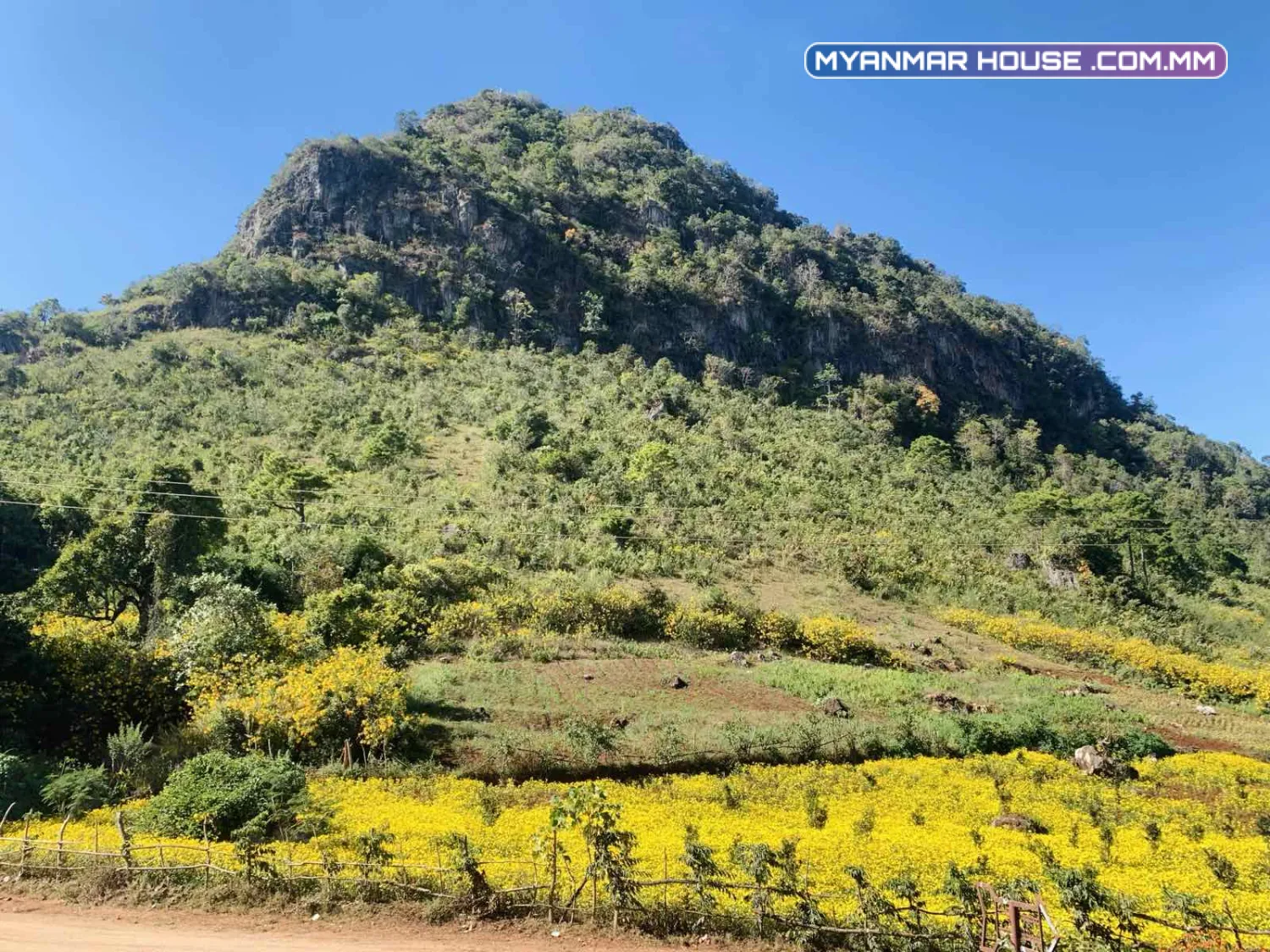 ရောင်းရန် - လုံးချင်းအိမ် - ကလောမြို့ (မြင်းမထိ) အနီးရွာမြေကို ၉၇၅ သိန်း ဖြင့်ရောင်းမည်။