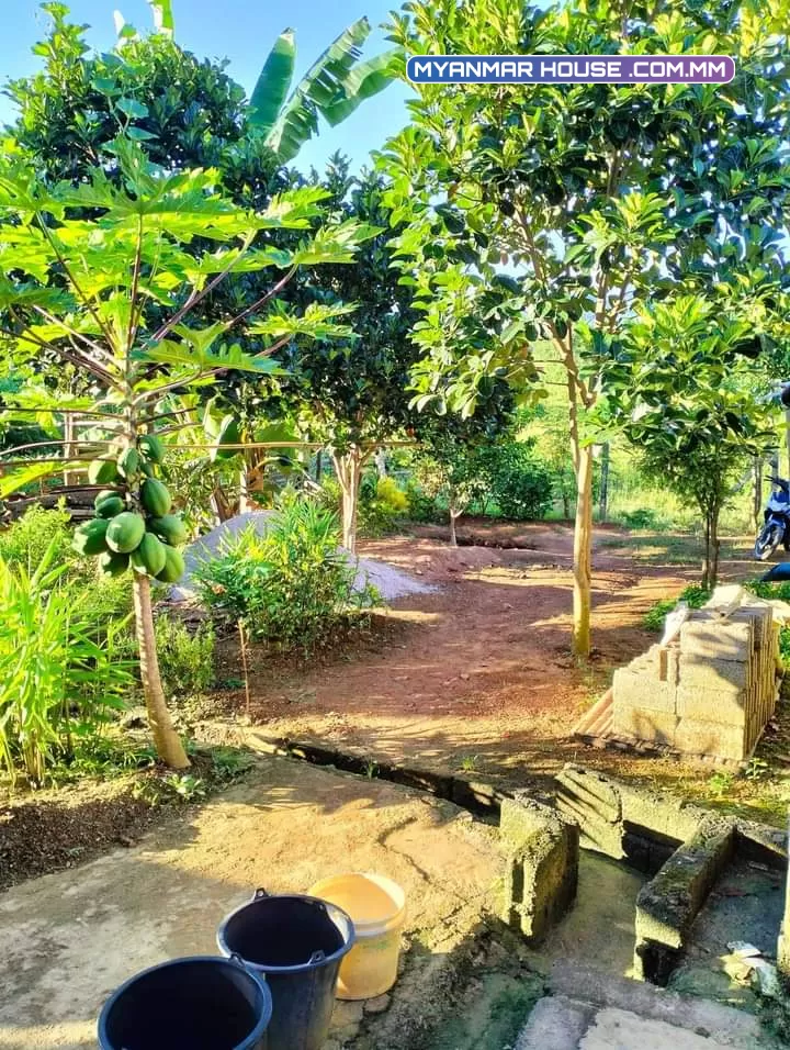 ခြံဝိုင်းလေရောင်းချင်လိုပါ 60ပက်လည် ရေမီးအစုံပါ အောင်သစ္စာရကွက် ရကွက်12နယ်မြေ၂၁ သိန်း320အလျော့အတင်ရှိ