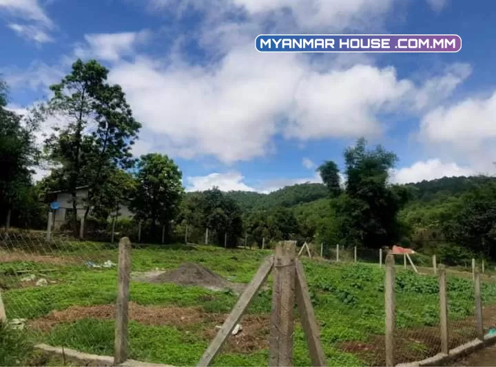 ဒါကတော့ မြင်းကမှ ရွာမြေ စစ်စစ်ပါ။  း Kalaw Villa ရှိတဲ့ ဒီမြင်းကမှာ ရွာမြေစစ်စစ်တွေ ကုန်သလောက် ကို ဖြစ်နေချိန် ဆိုတော့ ဒီလို အကျယ်အဝန်းနဲ့ မြေကို လက်မလွှတ်သင့်တာအမှန်ပါဘဲ။ဈေး -700 ခေါ်ထားပါတယ်