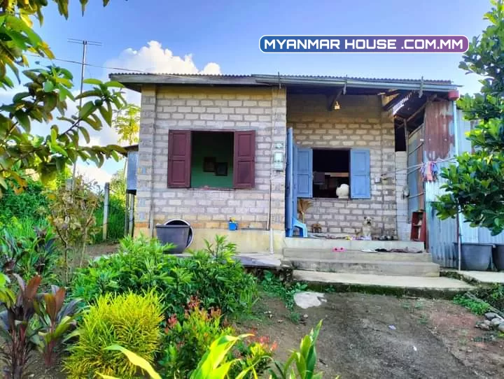 ခြံဝိုင်းလေရောင်းချင်လိုပါ 60ပက်လည် ရေမီးအစုံပါ အောင်သစ္စာရကွက် ရကွက်12နယ်မြေ၂၁ သိန်း320အလျော့အတင်ရှိ