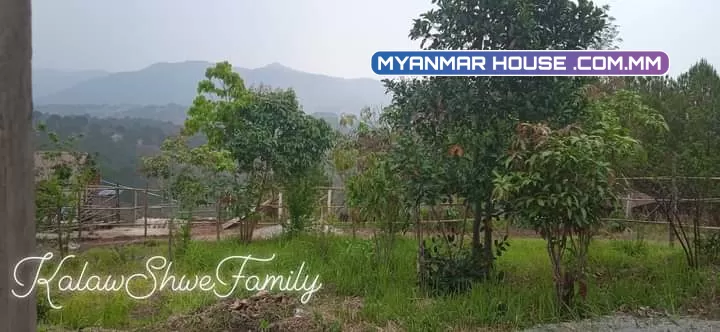🙏မင်္ဂလာပါရှင့်🙏ကလောမြို့လူသန့်ရပ်ကွက်သန့်မြို့မြေဗျူးကောင်းတဲ့နေရာလေးပါရှင့်... 🌲အကျယ်ဝန်း=50×60 🌲ဈေး=သိန်း500