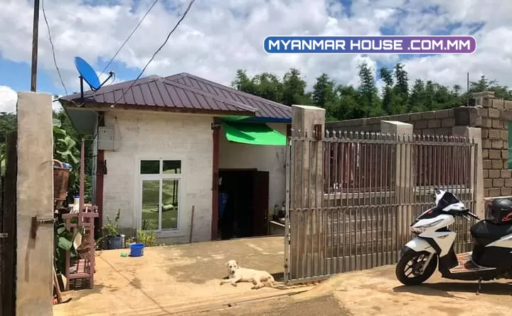 #ကျောင်းကြီးစုနယ်မြေ(၁၂) ဖရဲ တွင် မြေပေ 25*60 ပေါ်တွင် ဆောက်ထားသော နံကပ် ၁ထပ်အိမ်၊ ဈေး #သိန်း380 ပိုင်ရှင်တိုက်ရိုက် ညှိနိုင်းဖြင့်ရောင်းချပါမည်။